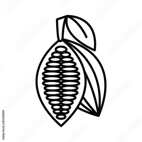Cocoa fruit icon. Flat style line isolated on white background
