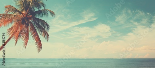 Retro palm tree summer background. Creative banner. Copyspace image