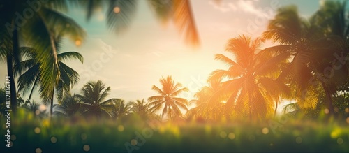 Blur nature bokeh green park by beach and tropical coconut trees in sunset time. Creative banner. Copyspace image