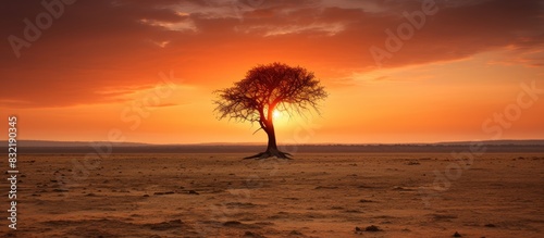 green lonely tree in a hot dry land. Creative banner. Copyspace image