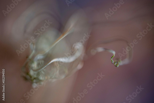 This is a close-up, abstract image of delicate, swirling smoke against a soft, blurred background. photo