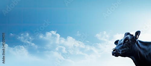 Head of a cow against the sky. Creative banner. Copyspace image photo