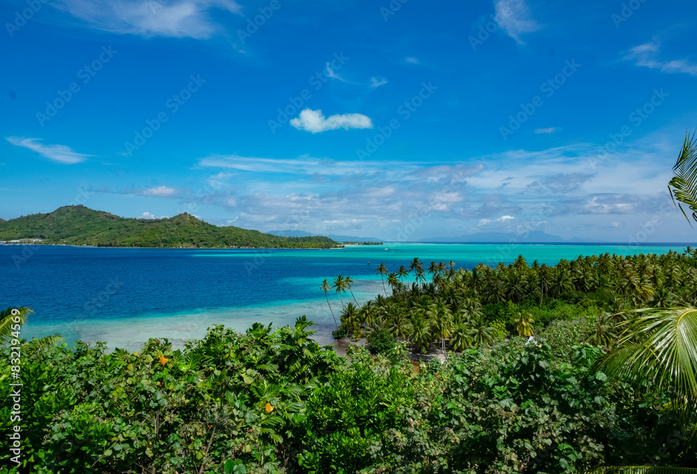 custom made wallpaper toronto digitalA stunning vista of a tropical beach with lush greenery leading to a clear blue sea and a cloud-flecked sky above. An island looms in the distance, completing the serene landscape.
