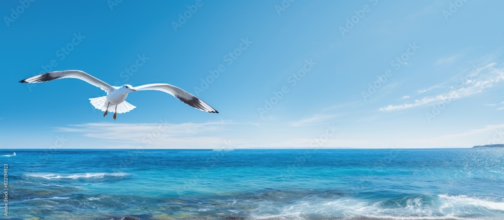 Seagull on sea. Creative banner. Copyspace image Seagull on sea. Creative banner. Copyspace image