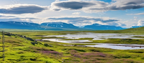 Arctic flat colored tundra in summer. Creative banner. Copyspace image