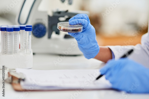 Petri dish  hands and scientist research blood for healthcare development  test and dna analysis in lab. Medical science  person and writing notes for innovation  information and biotechnology study