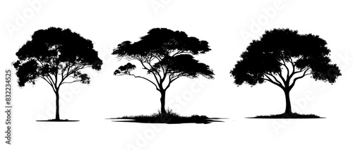 Black silhouettes of trees set black outline illustration.