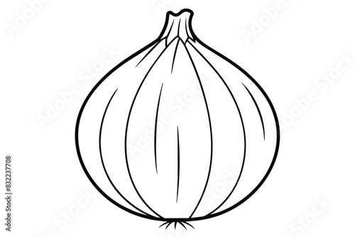 Onion line art vector illustration