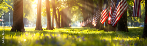 Tribute memorial day holiday remembrance military service freedom celebration with blurred background 