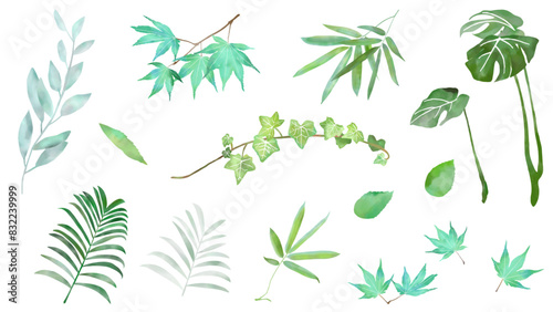 水彩の葉っぱのボタニカルな装飾イラストセット　アイコン　白バック　ベクター