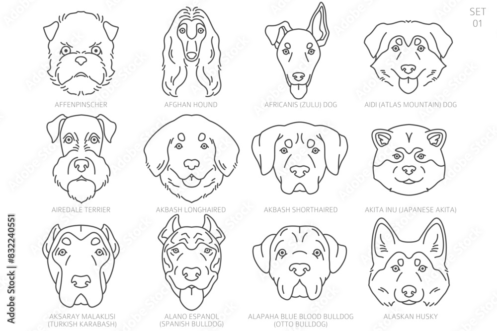 Dog head Silhouettes in alphabet order. All dog breeds. Simple line vector design