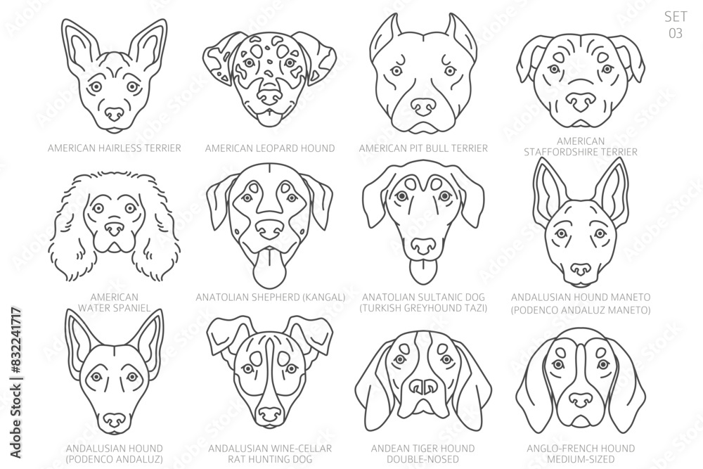Dog head Silhouettes in alphabet order. All dog breeds. Simple line vector design. Dog head Silhouettes in alphabet order. All dog breeds. Simple line vector design.
