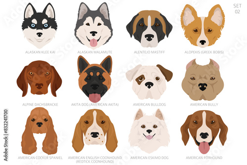Dog head in alphabet order. All dog breeds. Colour vector design