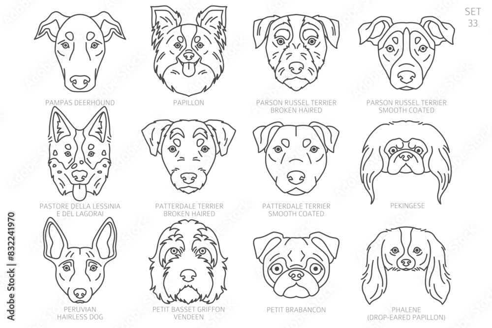 Dog head Silhouettes in alphabet order. All dog breeds. Simple line vector design