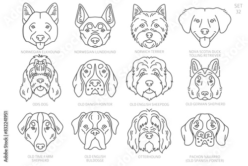 Dog head Silhouettes in alphabet order. All dog breeds. Simple line vector design