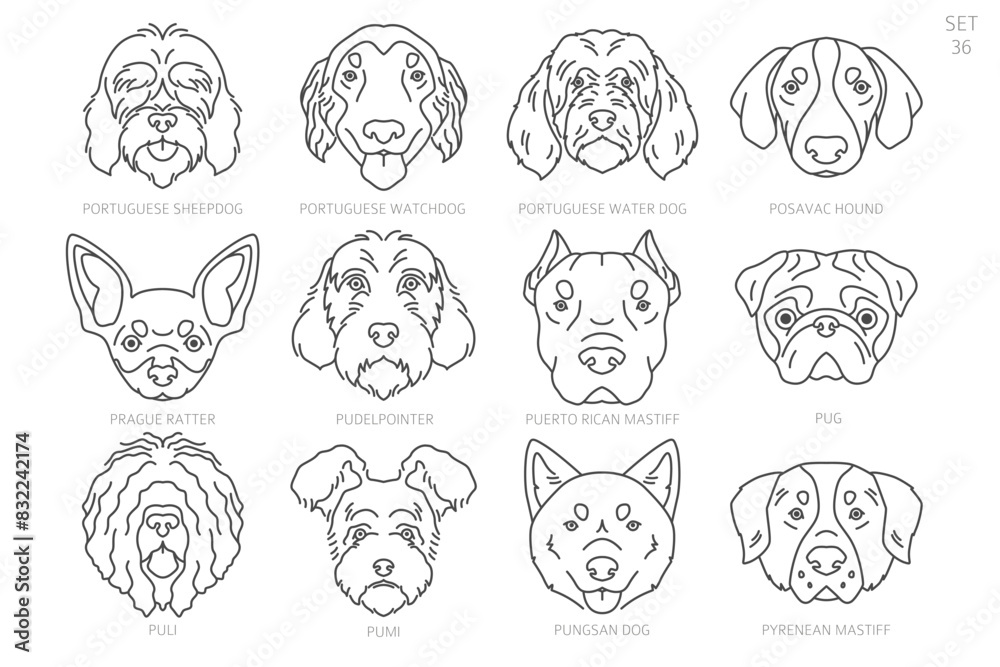 Dog head Silhouettes in alphabet order. All dog breeds. Simple line vector design Dog head Silhouettes in alphabet order. All dog breeds. Simple line vector design