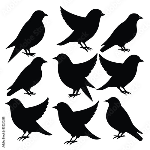 Set of Brown Headed Cowbird animal black silhouettes on white background