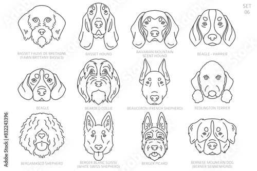 Dog head Silhouettes in alphabet order. All dog breeds. Simple line vector design.
