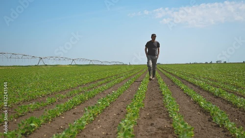 Farmer walking through young green soybean seedling plantation field