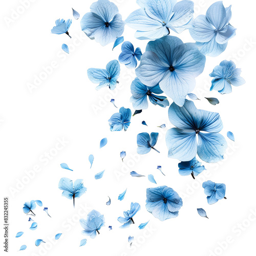Flying blue petal flowers on white background