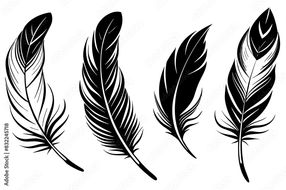 Feather silhouettes vector