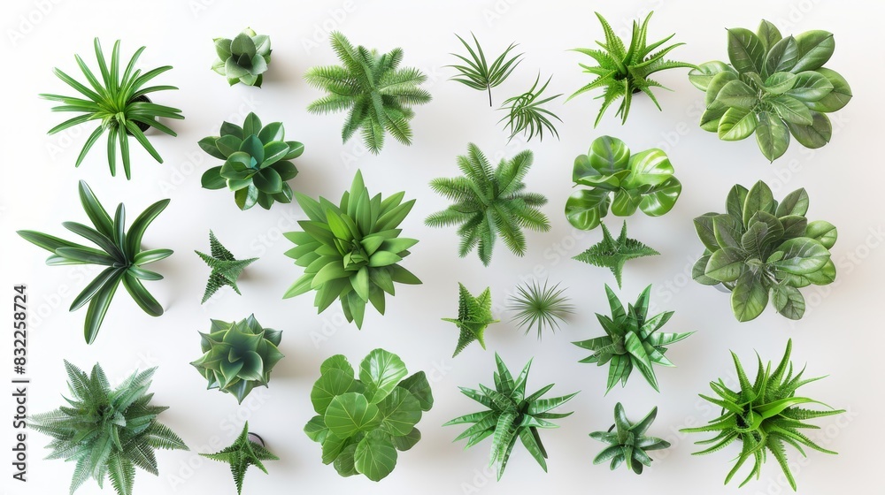 A variety of green plants viewed from above, Generative AI