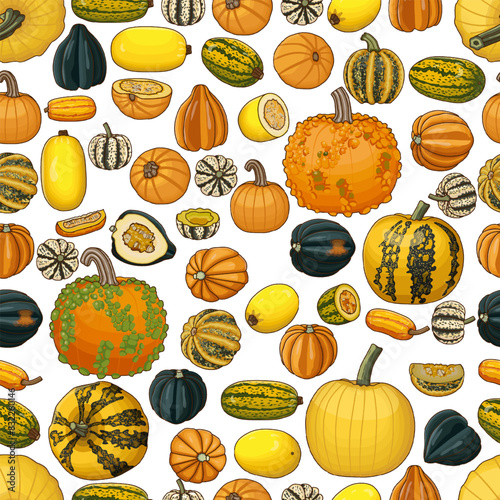 Seamless pattern with types of winter squash. Cucurbita pepo. Cucurbitaceae. Fruits and vegetables. Isolated vector illustration. Art.
