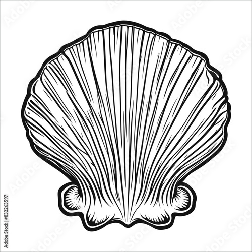 seashell vector illustration outline tattoo