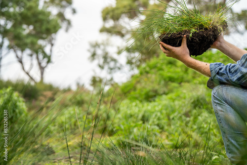 university student conducting research on forest health. farmer collecting soil samples in a test tube in a field. Agronomist checking soil carbon and plant health on a farm in australia photo