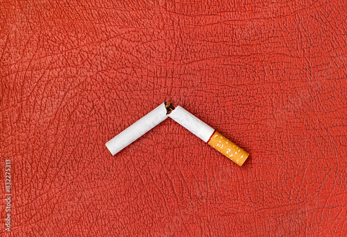 Broken Cigarette Closeup © Sabphoto