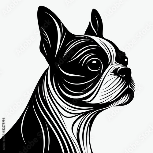 Stylized Black and White Boston Terrier Silhouette photo