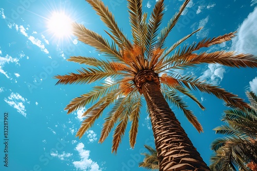 Tropical Paradise Palm Tree under Bright Sun - Summer Vacation Vibes for Poster or Card Design