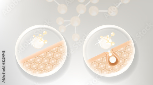 Hyaluronic acid and Niacinamide before and after hair and skin solutions ad, white collagen serum drops into skin cell with cosmetic advertising background ready to use, illustration vector.