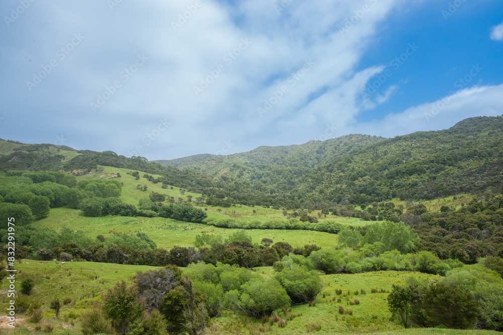 Obraz premium Green fields and bush of typical New Zealand farm.