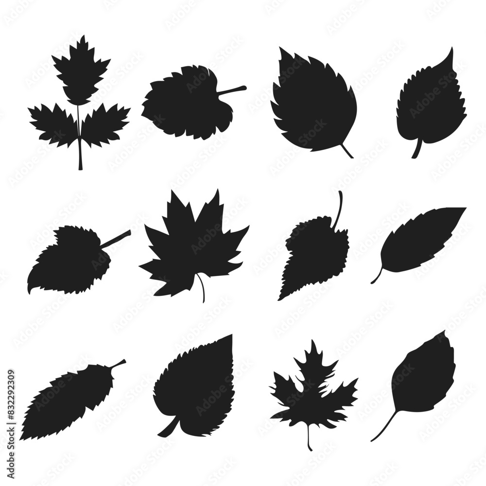 Obraz premium Set leaf vector silhouettes