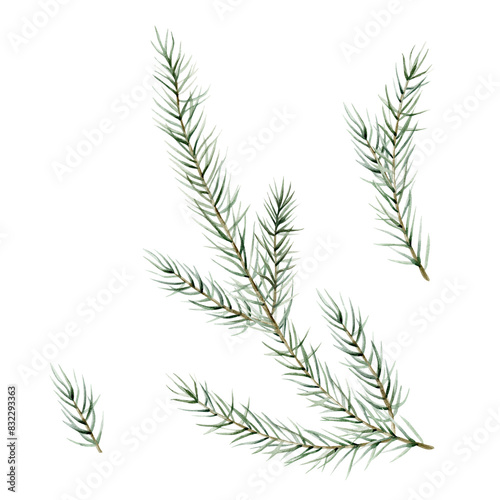 Watercolor set of Christmas tree branches. Hand painted fir-needle natural elements illustration on isolated background. Freehand drawing of festive needles from spruce, for christmas and new year