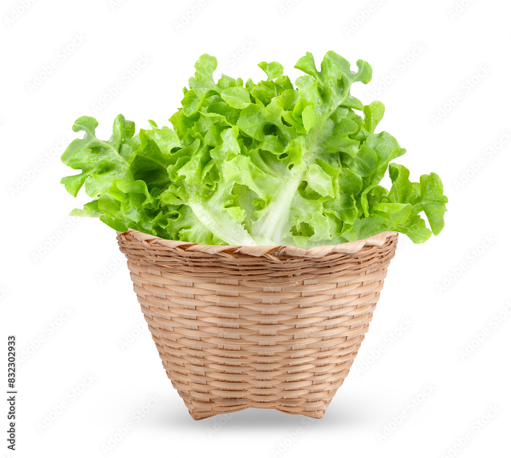Lettuce in basket isolated on transparent png Lettuce in basket isolated on transparent png