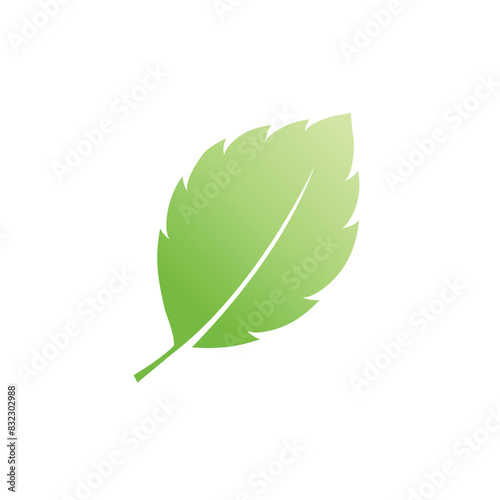 Mint leaf logo vector element template and symbol