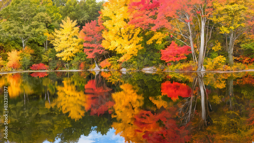 Tranquil pond surrounded by vibrant fall foliage  with reflections of the trees in the still water