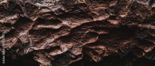 A close-up texture of rough, brown bark with deep grooves and ridges. Wallpaper 21:9 photo