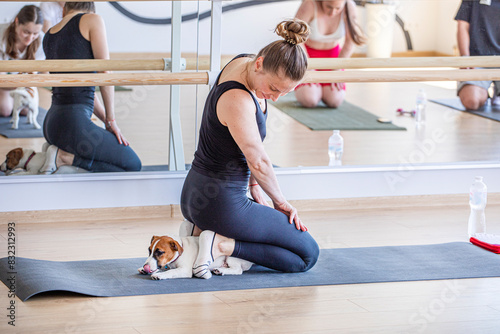 Wallpaper Mural group yoga class in the gym with Jack Russell Terrier puppies. Healthy lifestyle Torontodigital.ca