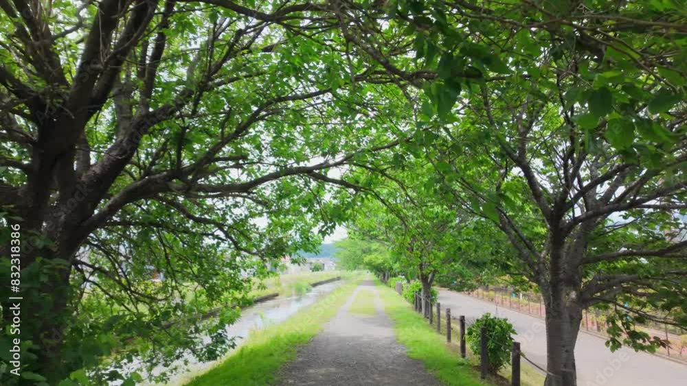 土手沿いの道 土手沿いの道