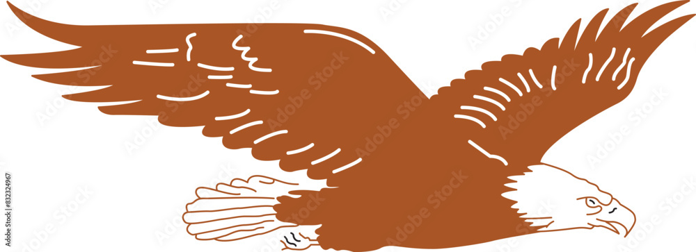 Obraz premium eagle in flight