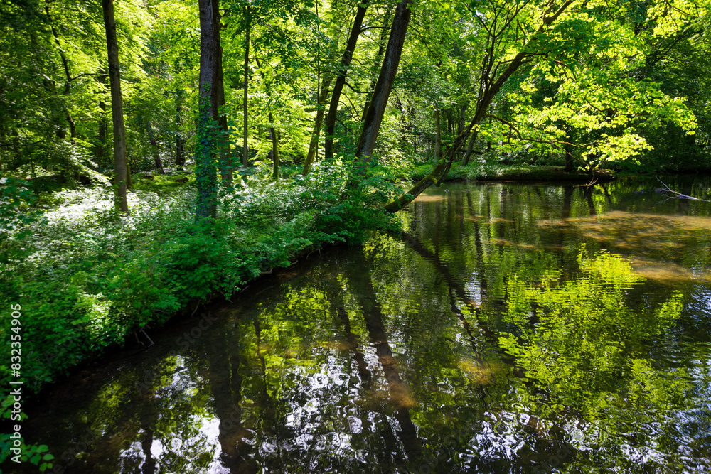 Beautiful scenery and reflections of trees in the park of amazing Nymphenburg Palace in Munich, Germany Beautiful scenery and reflections of trees in the park of amazing Nymphenburg Palace in Munich, Germany