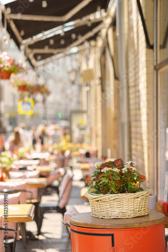 The street cafe is decorated with plants. Sunny summer day.