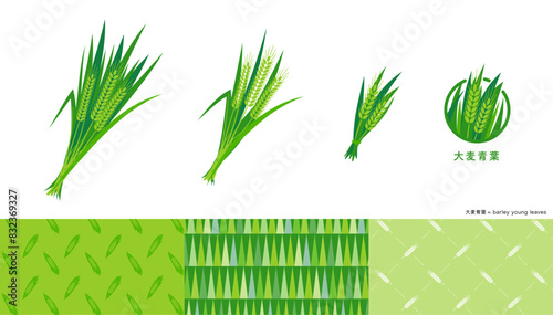 大麦青葉のイラストおよびアイコンとパターンセット。