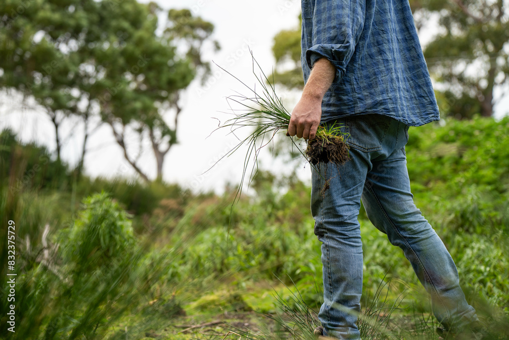 farmer holding soil looking at soil carbon in the america farmer holding soil looking at soil carbon in the america