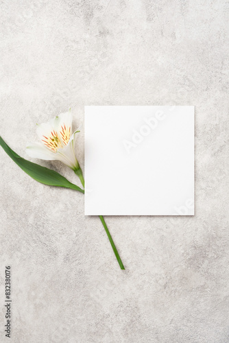 Blank square paper card mockup with flower, top view with copy space