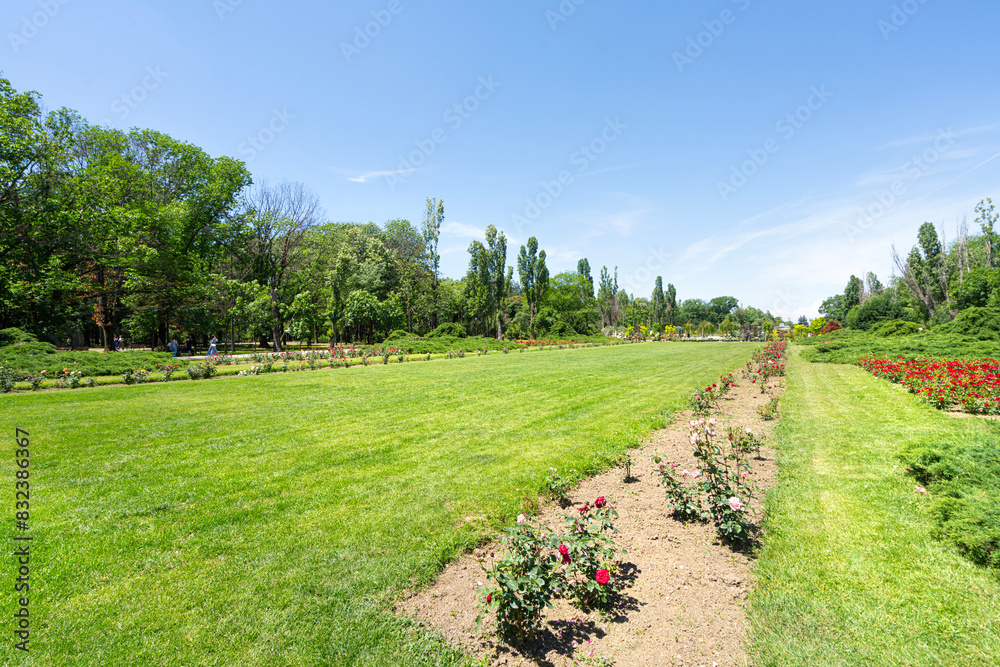 King Michael I of Romania Park in Bucharest King Michael I of Romania Park in Bucharest