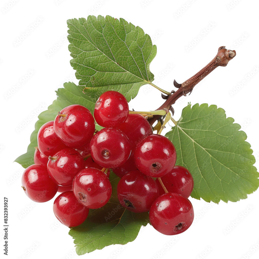 A cluster of vibrant red berries on a branch with green leaves, A cluster of vibrant red berries on a branch with green leaves,